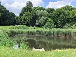 Nienazwany staw znajdujący się bliżej skarpy i pałacu Królikarnia, widok od wschodu