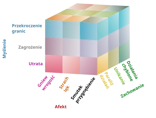 Trójwymiarowy model kryzysu