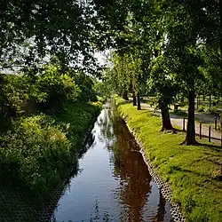 Krzna Południowa, po prawej stronie park