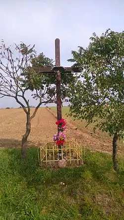 Krzyż przy byłym cmentarzu cholerycznym pomiędzy Jaźwinami, a Różą. 25.09.2016