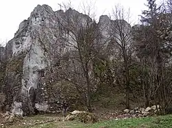 Krzyżowa i Chochoły