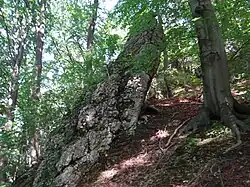 Jedna z Kubińcowych Skał