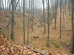 Fragment zachodni (dolny)