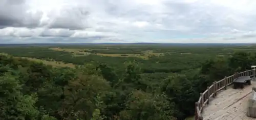 Park obserwowany z wieży widokowej