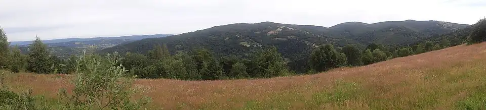 Lachów Groń, Jałowiec, Czerniawa Sucha i dolina Bystrej. Widok z Góry Mrowców