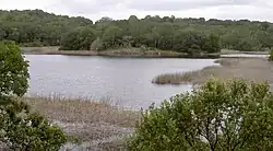 Sztuczne jezioro Ilsanjo w parku Annadel.