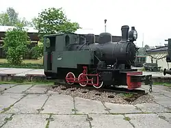 Las w skansenie w Chabówce