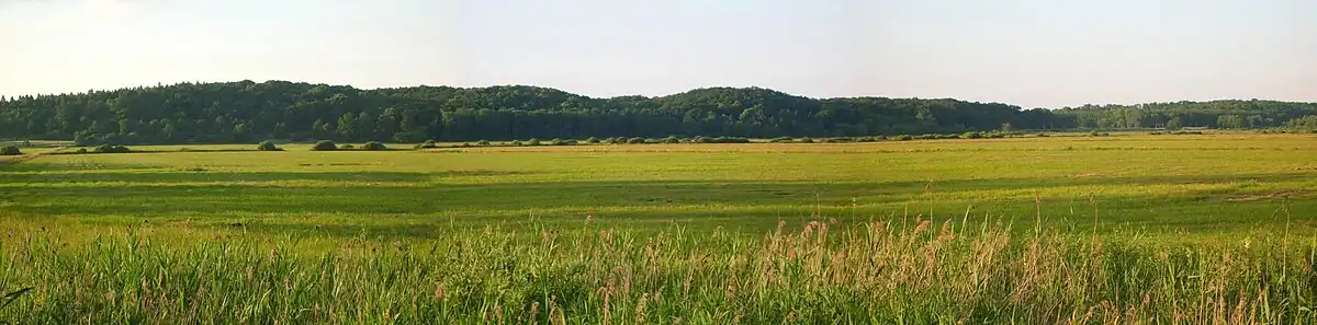 Widok od strony Stawu Kardynalskiego