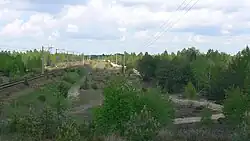 Las w Mostówce obok linii kolejowej do Wyszkowa