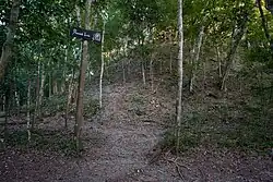 Piramida Leon El Mirador