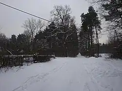 Droga w kierunku południowym z leśniczówki