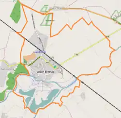 Mapa konturowa Lewina Brzeskiego, blisko centrum po lewej na dole znajduje się punkt z opisem „Parafia Wniebowzięcia Najświętszej Maryi Panny w Lewinie Brzeskim”