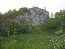 Mur skalny w dawnym kamieniołomie Kapelanka