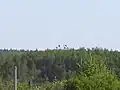 Widok na „Radary” (stację nadajnikową zbudowaną przez Rosjan) z ul. Czecha