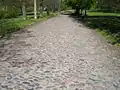 Charakterystyczne dla Stoków „Kocie łby” (nawierzchnia kamienista ul. Giewont, między ul. Zbocze i Telefoniczną)