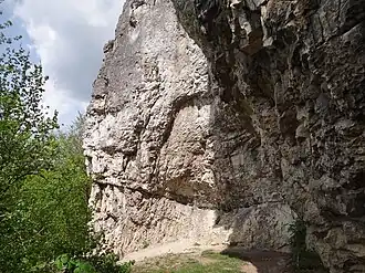 Lotniki, III filarek