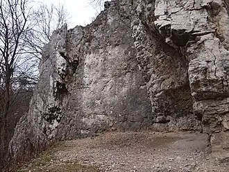 Lotniki od południowego wschodu