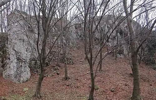 Lotniki, widok z dna doliny