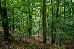 Jeden z malowniczych wąwozów