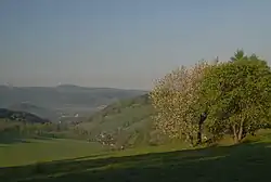 Dolina Luty w Lutyni