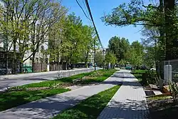 Młynówka Królewska wzdłuż ulicy Filtrowej