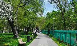 Młynówka Królewska w rejonie ulicy Lucjana Rydla