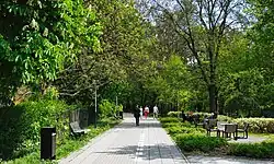 Młynówka Królewska w rejonie ulicy Młodej Polski