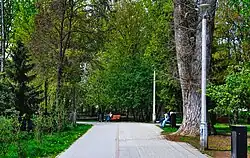 Młynówka Królewska – granica między Nową Wsią a Krowodrzą