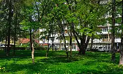 Młynówka Królewska – skwer w rejonie ulicy Gzymsików