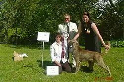 Marek ROSZKIEWICZ, sędzia kynologiczny na 3rd Australian Weimaraner National (4th, 5th and 6th November 2005), Cope Williams Winery, Romsey Victoria, Australia, zorganizowanej przez The Weimaraner Club of Victoria Inc.