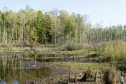 Odsłonięte dno jednego ze zbiorników wodnych.