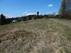 Polana i szczyt Magurki