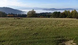 Widok na Magurę Spiską i Tatry
