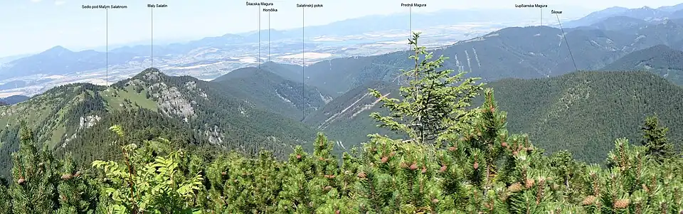 Widok z Salatína