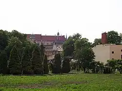 Ogród Księży Misjonarzy w kwartale między ulicami Stradomską, św. Gertrudy, św. Sebastiana i J. Dietla. W tle widoczny Wawel.