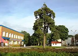 Ulica w centrum miasteczka