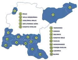 Wiejska gmina Tarnów wokół granic miasta Tarnów. Przykład gminy obwarzankowej.