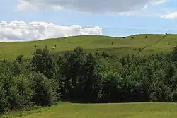 Pastwiska na Górach Sudawskich