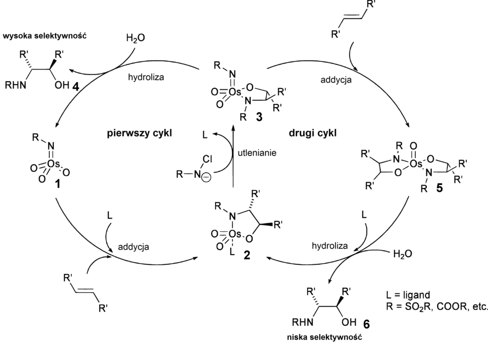 Mechanizm aminohydroksylacji Sharplessa