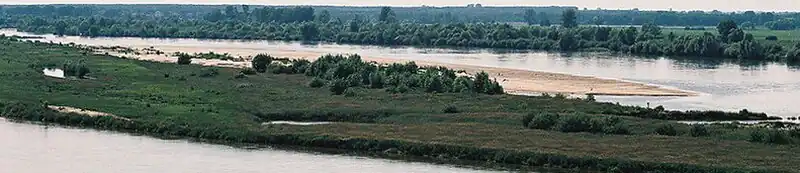 Krowia Wyspa na Wiśle – rezerwat ornitologiczny