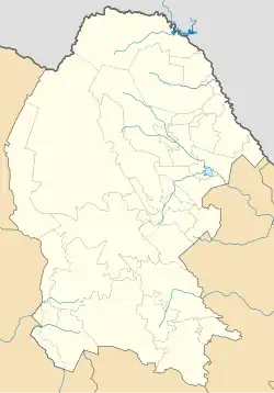 Mapa konturowa Coahuili, na dole po prawej znajduje się punkt z opisem „Ramos Arizpe”