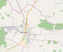 Mapa konturowa Międzyborza, blisko centrum na lewo znajduje się punkt z opisem „Parafia pod wezwaniem Świętego Józefa Rzemieślnika”