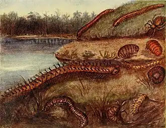 Grafika Antonína Friča (1899) z karbońskimi wijami Czech. Acantherpestes gigas oznaczony 1 (pierwszy plan). Euphoberia hystrix oznaczona 10 (koło pajęczaka)