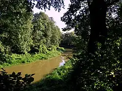 Rzeka Mleczka płynąca przez Przeworsk