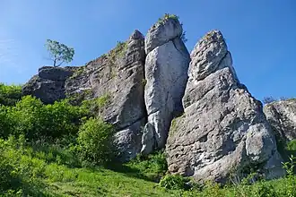 Szeroka Baszta i Mniszek od północnego wschodu
