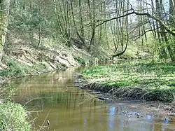 Mogielanka w okolicach Miechowic z widoczną skarpą.