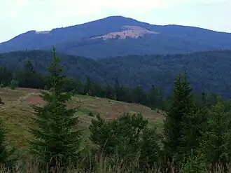 Widok z Jasienia ma Mogielicę. Na jej lewym grzbiecie polana Wyśnikówka, z przodu Polana Stumorgowa