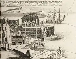 Codfish Map z The World Described