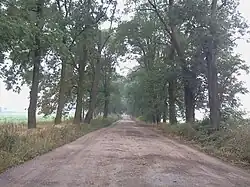 Aleja prowadząca do dworu