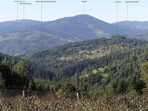 Muńcuł widziany z okolicy Zapolanki